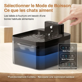 Fontaine à eau PurrStream Sans Fil — Rechargeable 2.2L
